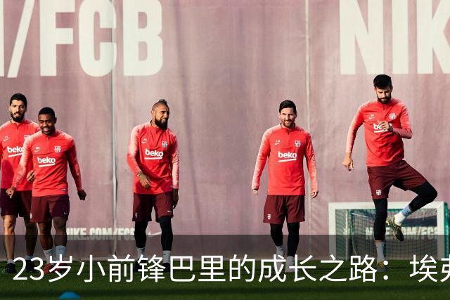 23岁小前锋巴里的成长之路：埃弗顿的“守护宝